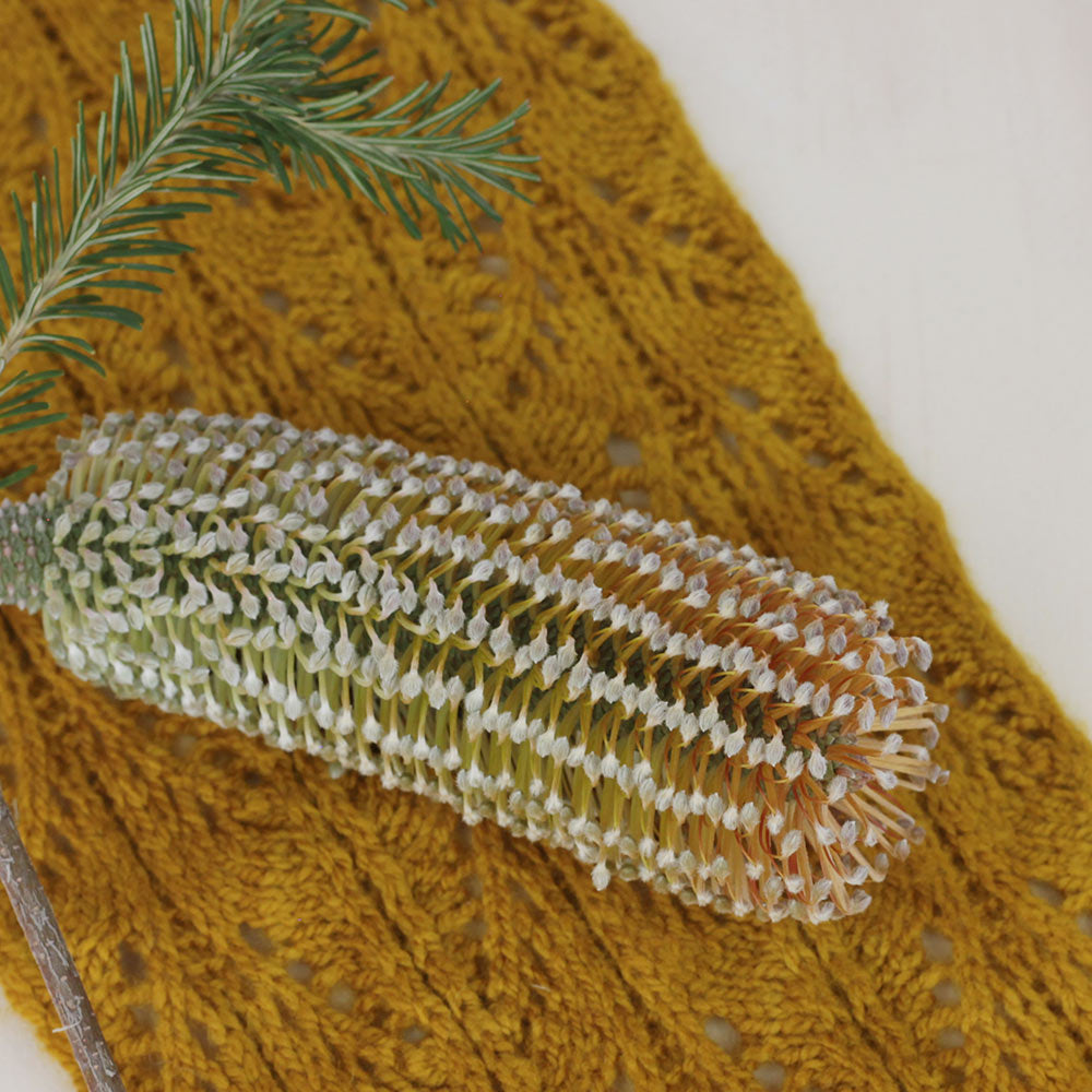 Beautiful golds of the Australian Banksia flowers.